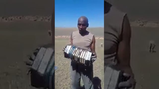 Xhosa Concertina player - Zadeki MNgxongo, from Sgidi village смотреть онлайн