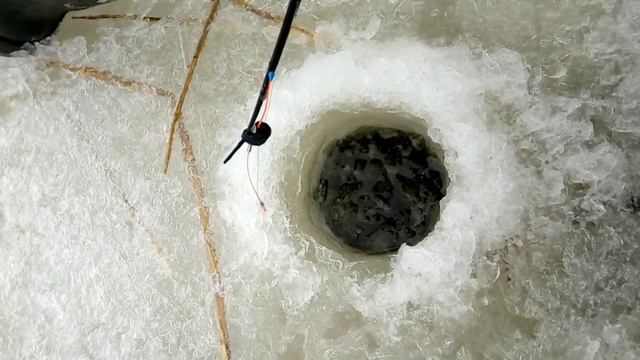 Ладога. Шальдиха. 13.12.2020 смотреть онлайн