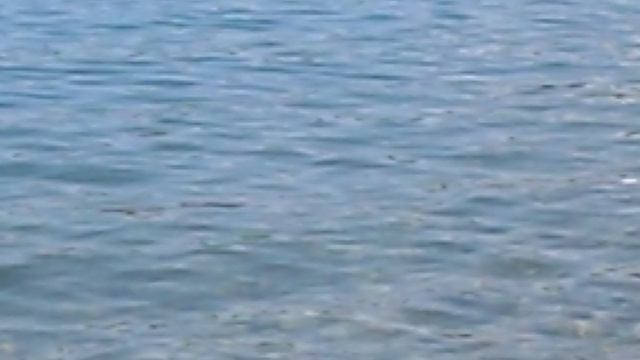 DSCN5926.AVIТурбаза Приморская Новомихайловский 2022