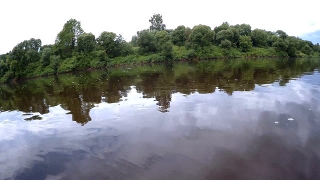 Плотва густера ловля в проводку река Днепр ловля на пшеницу смотреть онлайн