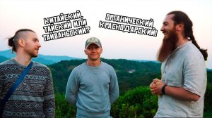 Чай в России самый лучший? О живом органическом чае с Хостинских плантаций