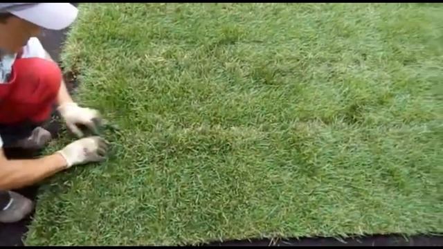 Укладка рулонного газона смотреть онлайн