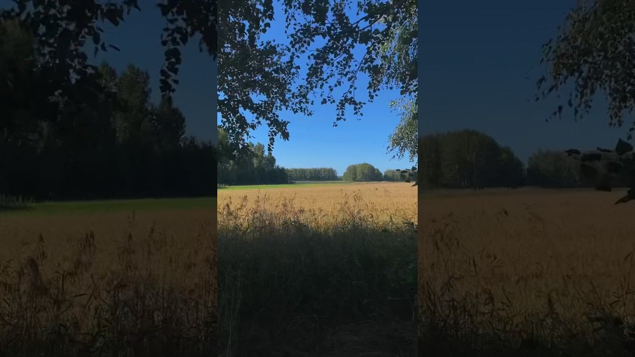 Такой осенний Вайб