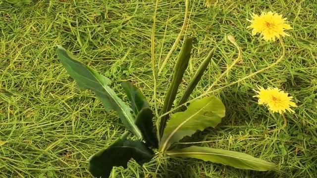 Rtx Texture Pack Mcpe 1.19 | Rtx Texture Pack Minecraft Pe 1.19 | Rtx Mcpe 1.19+