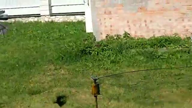 Голубиная карусель своими руками. смотреть онлайн