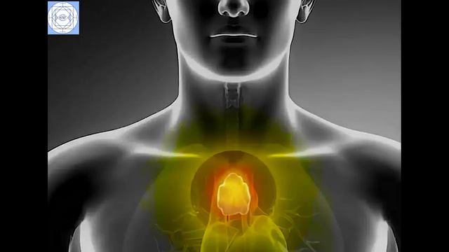 Матрица Гаряева - Волновой иммунитет смотреть онлайн