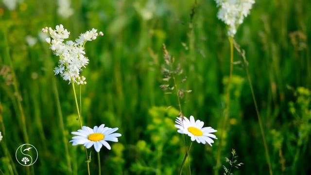 Истории подписчиков 6 смотреть онлайн