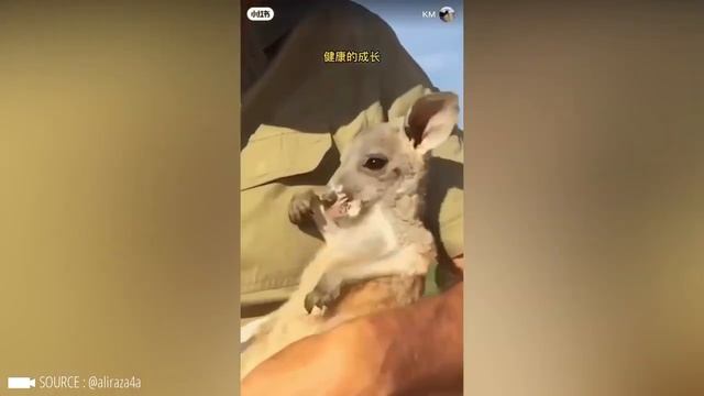 Видео до СЛЕЗ! Самые трогательные моменты - Герои в реальной жизни, ЗАХВАТЫВАЕМЫ НА КАМЕРУ #111 смотреть онлайн