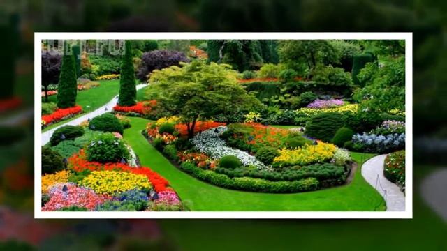 красивые сады 2017 года 2