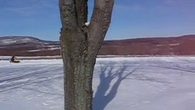 Skandic 440 LT Jump