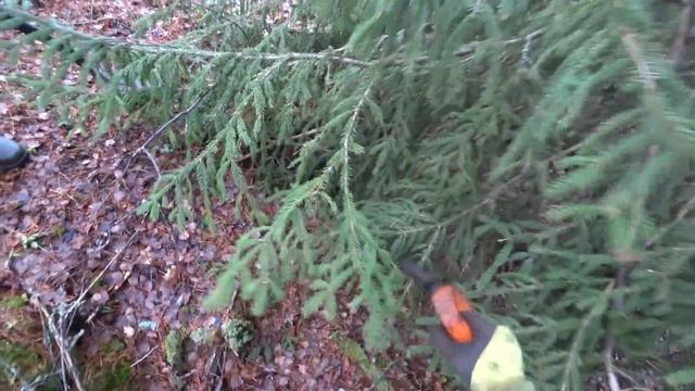 Эта ЖЕЛЕЗКА Свела Антона с УМА!!!Выкопал Целую БЕРЛОГУ Чтобы Достать ЕЁ!!!Болото Заполнено МЕТАЛЛОМ