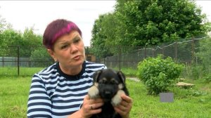 Восточно-европейских овчарок Тарасова воспитывает как детей