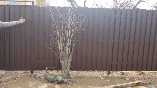 забор из евроштакетника смотреть онлайн