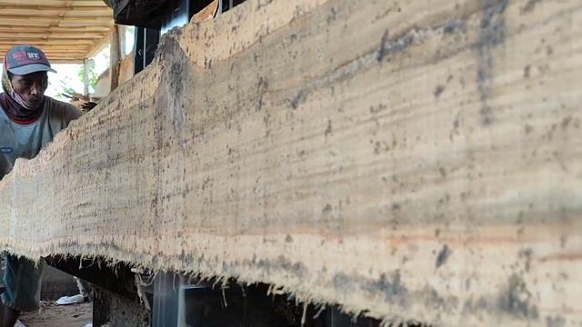 Fix,ini penipuan.polisi berkedok rakyat jelata temukan bukti pencurian kayu jati.woodworking смотреть онлайн