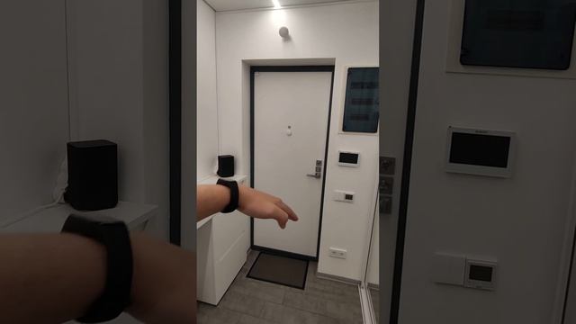 Реализация входной группы "умной" квартиры #умныйдом смотреть онлайн