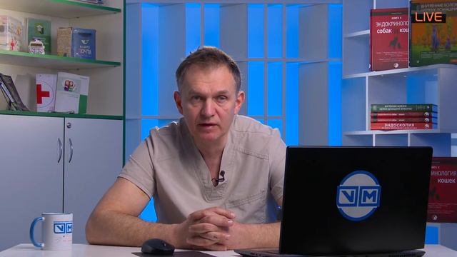 Инсульт у кошек смотреть онлайн