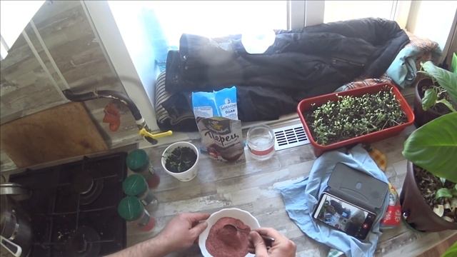 судак горячего копчения в домашних условиях смотреть онлайн