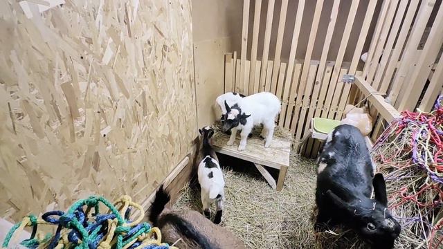 БЕРЕГИТЕ ГЛАЗА . МОРОЗЫ МИНУС 33. смотреть онлайн