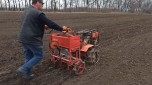 Посев ячменя самодельной сеялкой для мотоблока