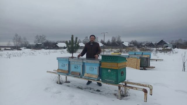 Когда давать канди пчёлам. Зимовка пчёл. Пчеловодство! смотреть онлайн