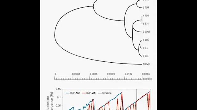 Dynamic Phylogeny - Doing the Time Warp смотреть онлайн