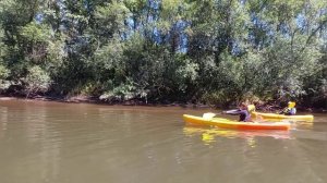 Сплав на каяках по реке Арсеньевка. Приморский край. Арсеньев.