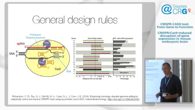 Speaker 3, Mihail Sarov (Max Planck Institute, Germany): CRISPR/Cas9-induced disruption of gene... смотреть онлайн