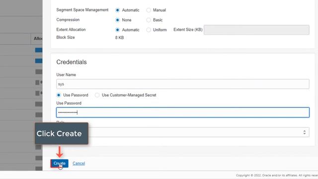 Oracle Database Management Service: Storage Management смотреть онлайн