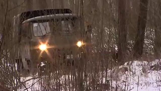 24 01 16 ГТРК КАЛИНИНГРАД Подкормка кабанов национальный парк Куршская коса смотреть онлайн