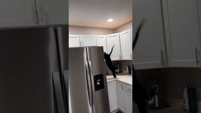 Вижу цель, не вижу препятствий Прошу поддержать мой канал подпиской и лайками.😘 смотреть онлайн