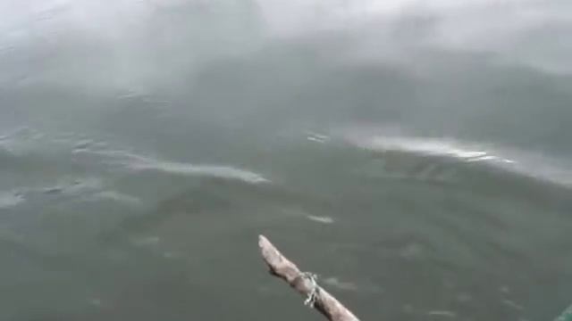 Ловля щуки без спиннинга смотреть онлайн