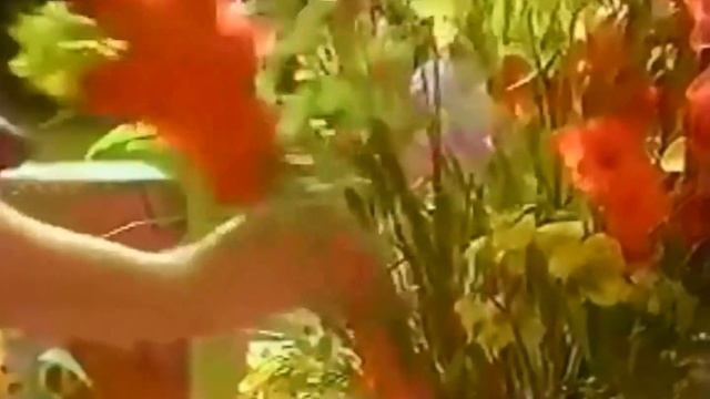 Mentos Mints The Wedding 1997 TV Commercial HD