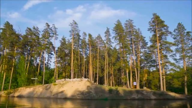 Широколиственные леса смотреть онлайн