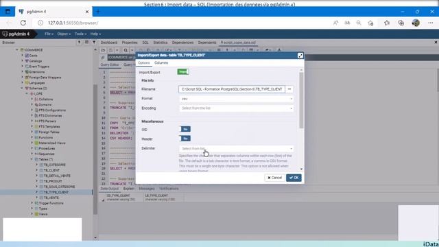 Import data - SQL (Importation des données via pgAdmin 4) - PostgreSQL #7 смотреть онлайн