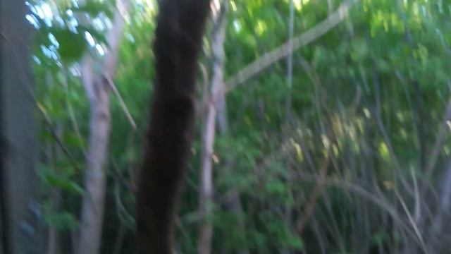 Старый заброшенный дом смотреть онлайн