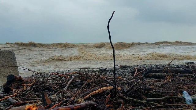 04.06.2021 Бушующая стихия реки и моря смотреть онлайн