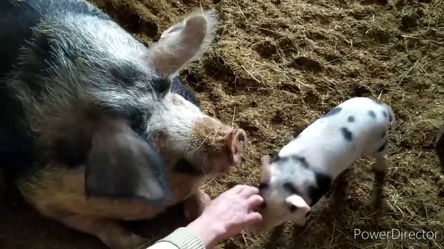 23 февраля 2020 г. смотреть онлайн