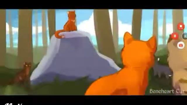 Коты воители (клип) - Малый повзрослел смотреть онлайн