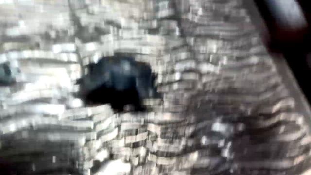 ворота из декоративной полосы смотреть онлайн