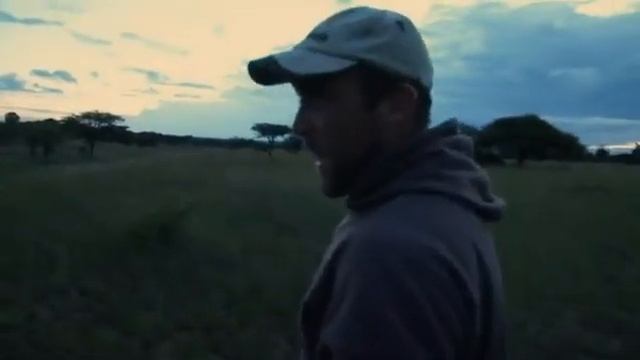 Львиный рык