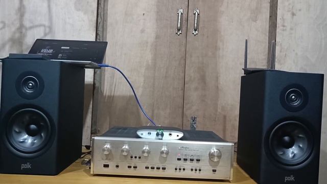 Polk Audio Reserve R200 with Accuphase E-204 смотреть онлайн