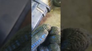 Как снять стекло с фары на приоре , как разобрать фару на приоре.