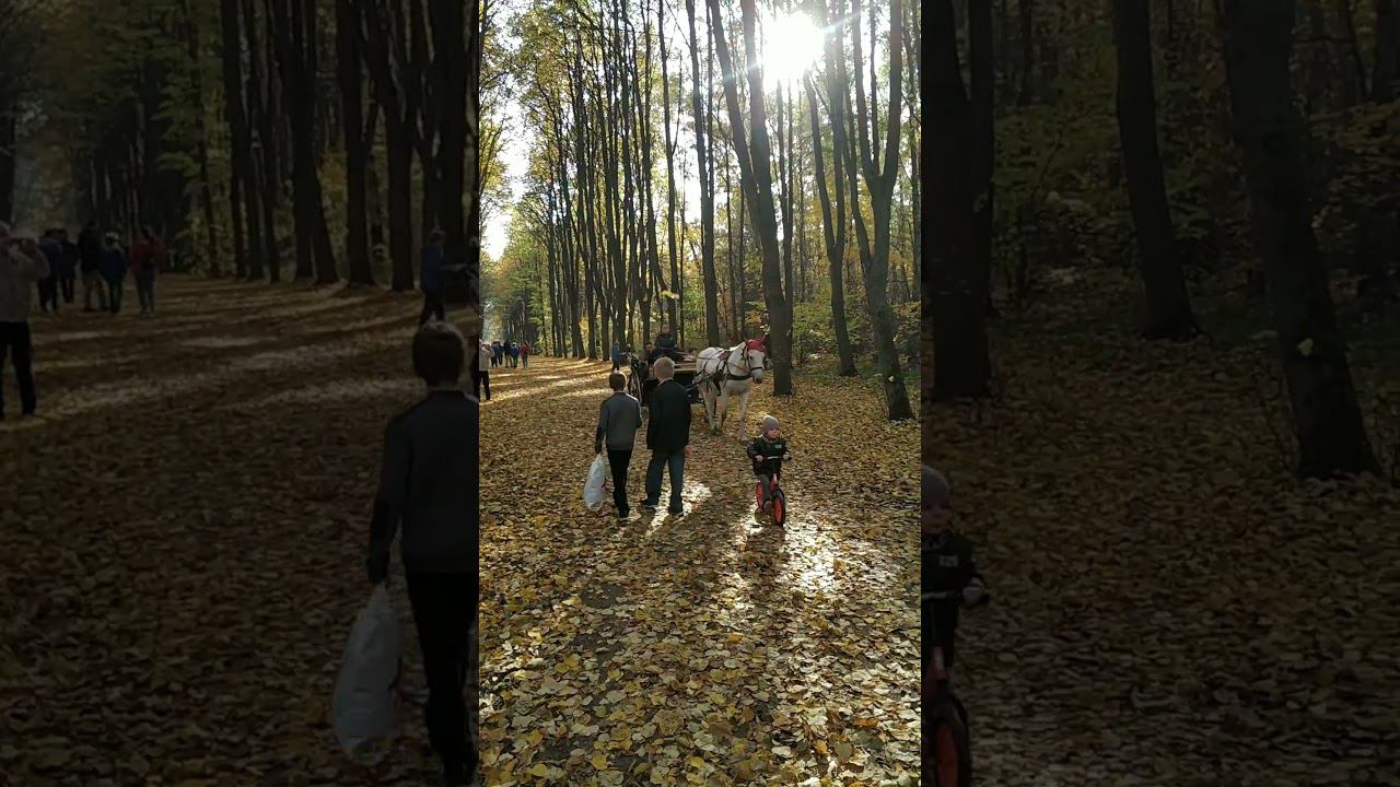 Кусково. Золотая осень.