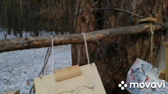 ВОТ КАК НУЖНО ЧИСТИТЬ ЗУБЫ?/ЛЕС ЧУДЕС, ПРОГУЛКА смотреть онлайн
