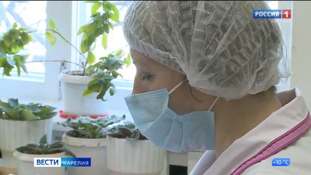 В России фельдшеры отметили свой профессиональный праздник смотреть онлайн
