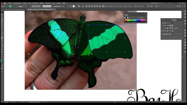 Baby Butterfly in Adobe Illustrator (Малышка Бабочка в Адоб иллюстраторе смотреть онлайн