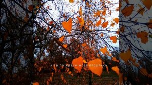 А ты по жизни моей прошлась