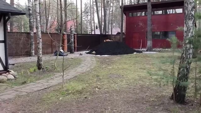 Ли Сяо / Alice the Fox Лиса Алиса (Алиса и соседская собака!!) смотреть онлайн