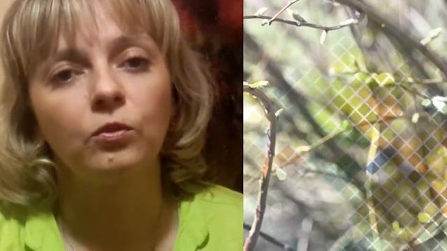 Благодарность "Фонду соц. поддержки, за оказанную помощь от Злыдневой О. смотреть онлайн