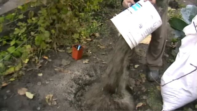 Пироги покоряют вкусом